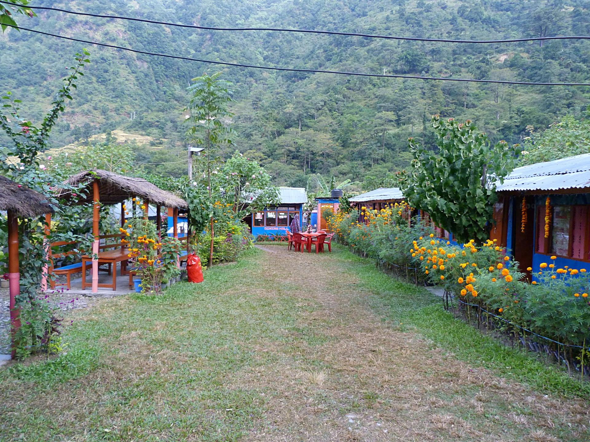P1050839